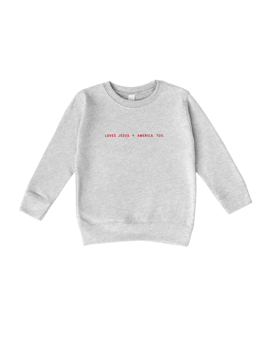 Loves Jesus + America, Too. Kids/Youth Sweatshirt Saved by Grace Co.