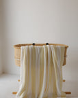 Plush Blanket | Sunny Stripe forever french baby