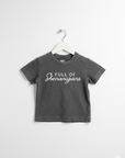 Full of Shenanigans Tee