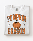 Pumpkin Season Adult Sweatshirt