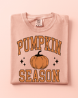 Pumpkin Season Adult Tee