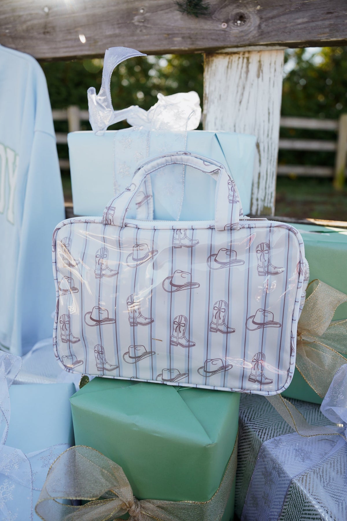 Western Blues Striped - Clear Coat Toiletry Case KenzKustomz