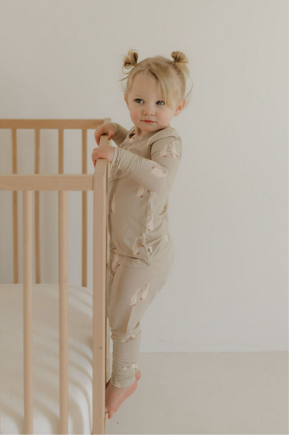 Bamboo Two Piece Pajamas | Silly Goose forever french baby
