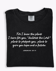 For I Know the Plans Scripture Tee