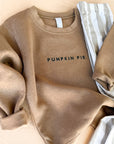 Pumpkin Pie Pullover
