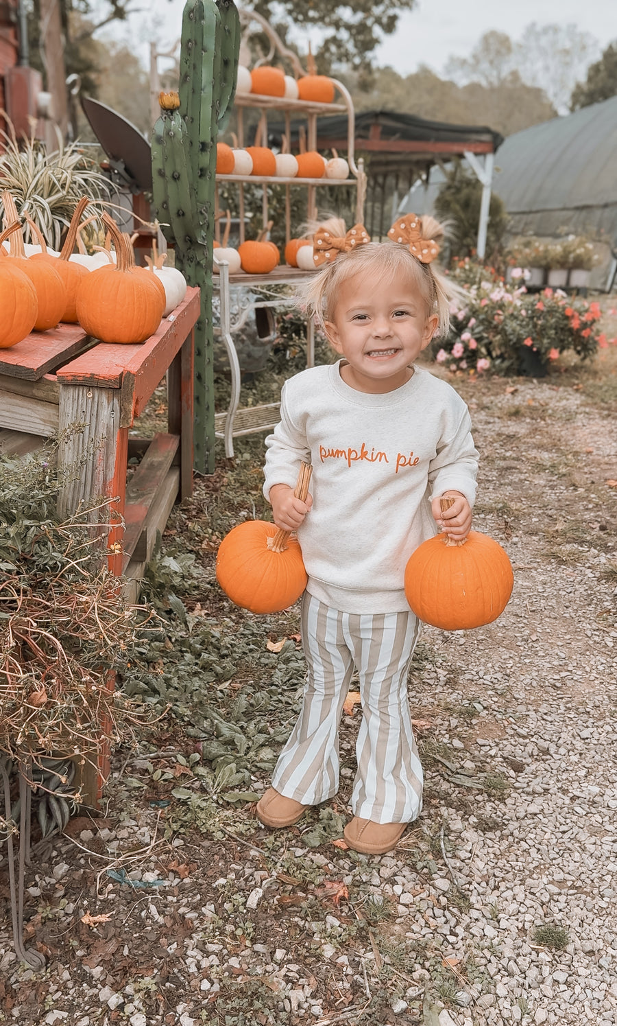 Pumpkin Pie Script Pullover SBG Co.