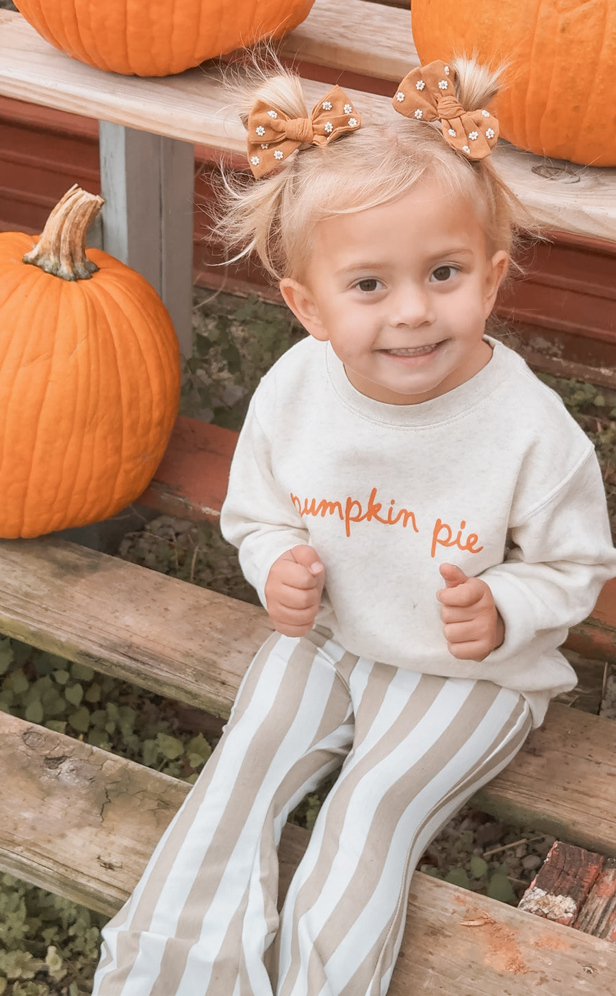 Pumpkin Pie Script Pullover SBG Co.