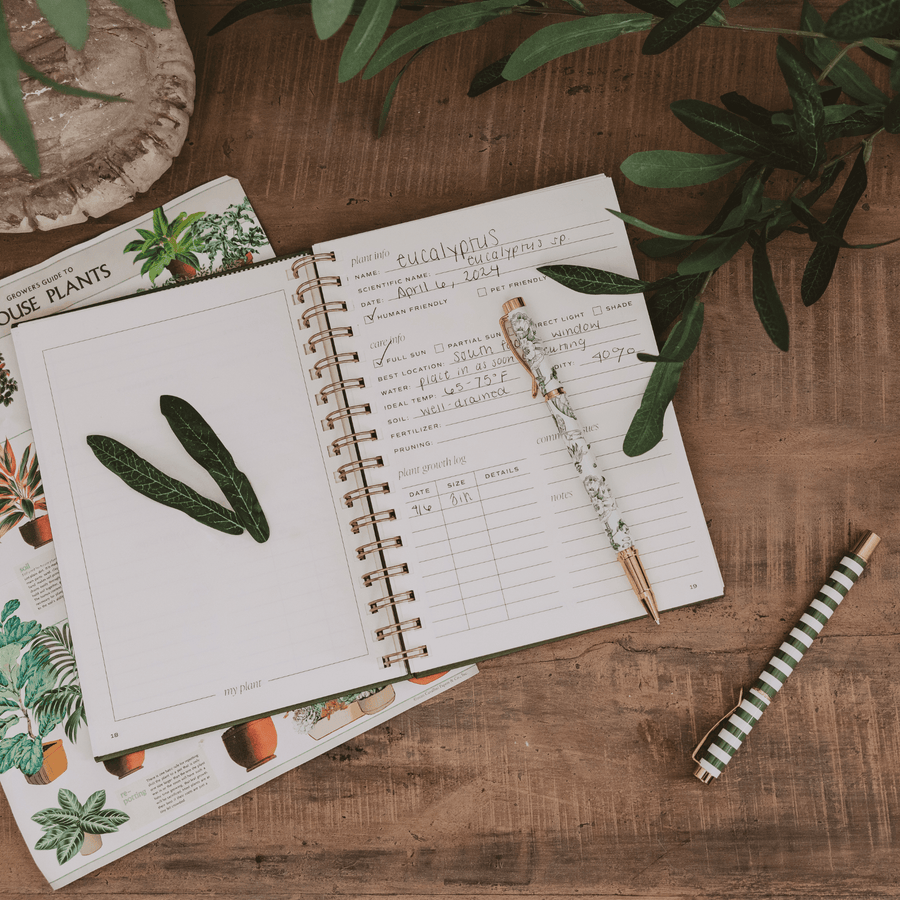 Plant Journal Sweet Water Decor