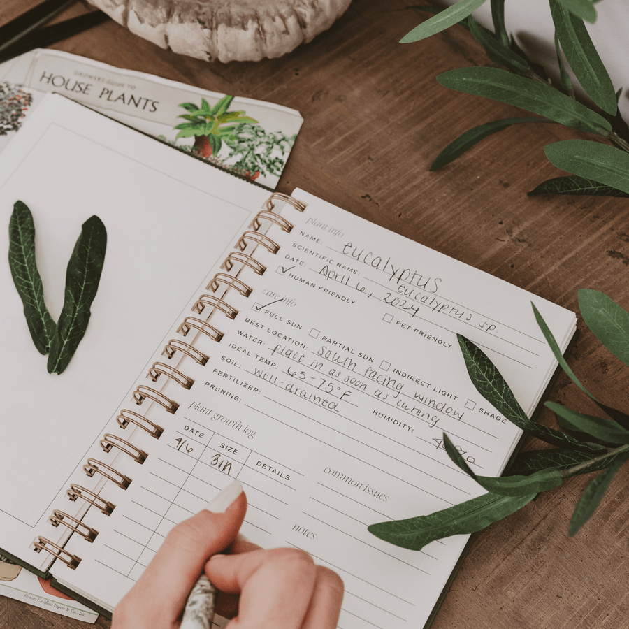 Plant Journal Sweet Water Decor
