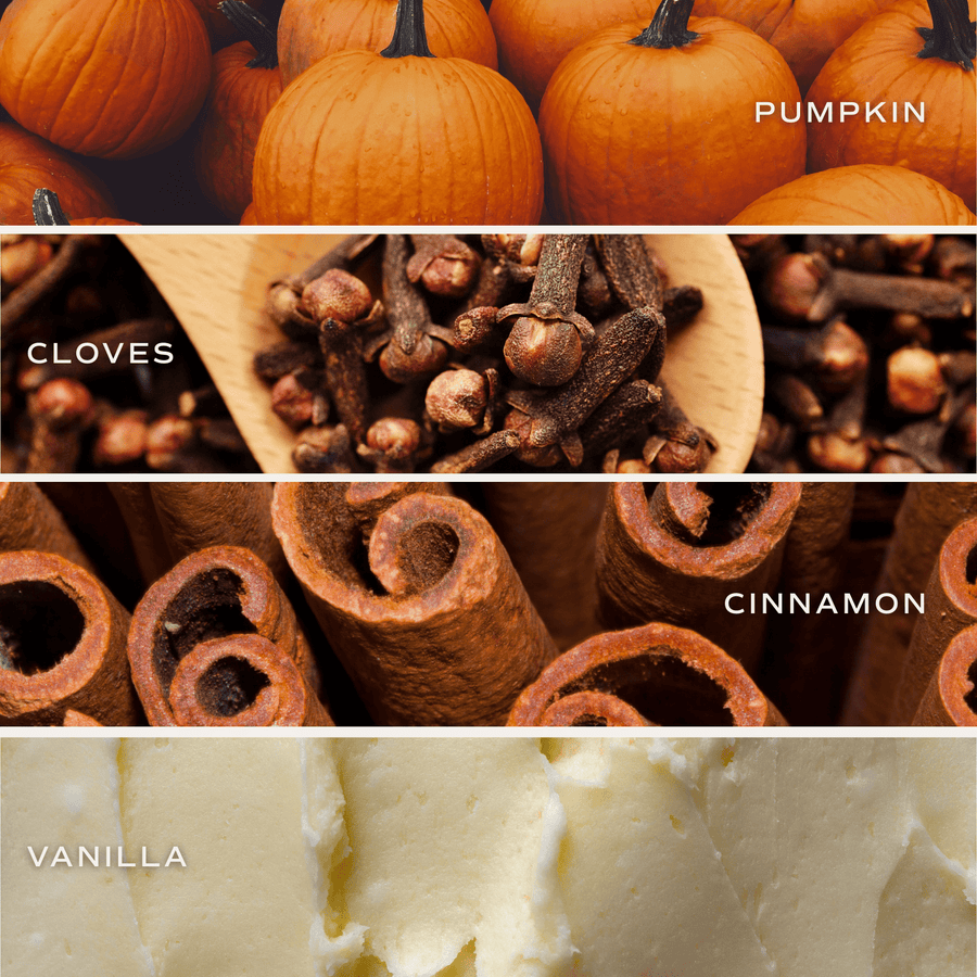 Pumpkin Spice Soy Candle - Ceramic Pumpkin Jar - 8 oz Sweet Water Decor