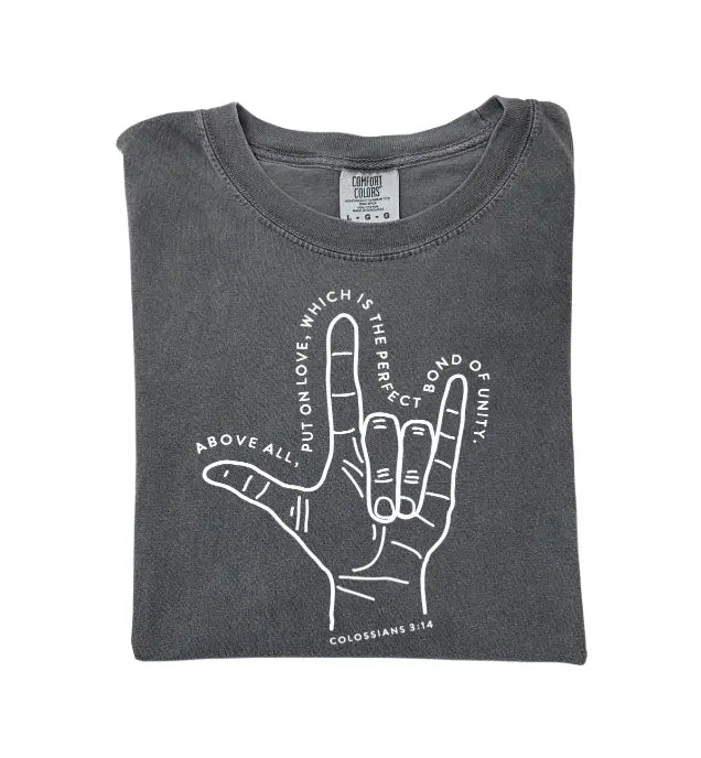Colossians 3:14 Adult Tee SBG Co.