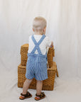 Blue Stripe Short Overalls