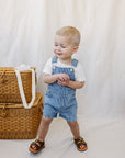 Blue Stripe Short Overalls